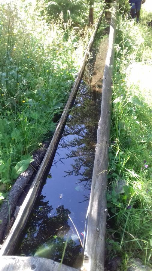 Pensiunea Gentiana Vatra Dornei Zewnętrze zdjęcie