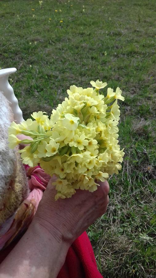Pensiunea Gentiana Vatra Dornei Zewnętrze zdjęcie